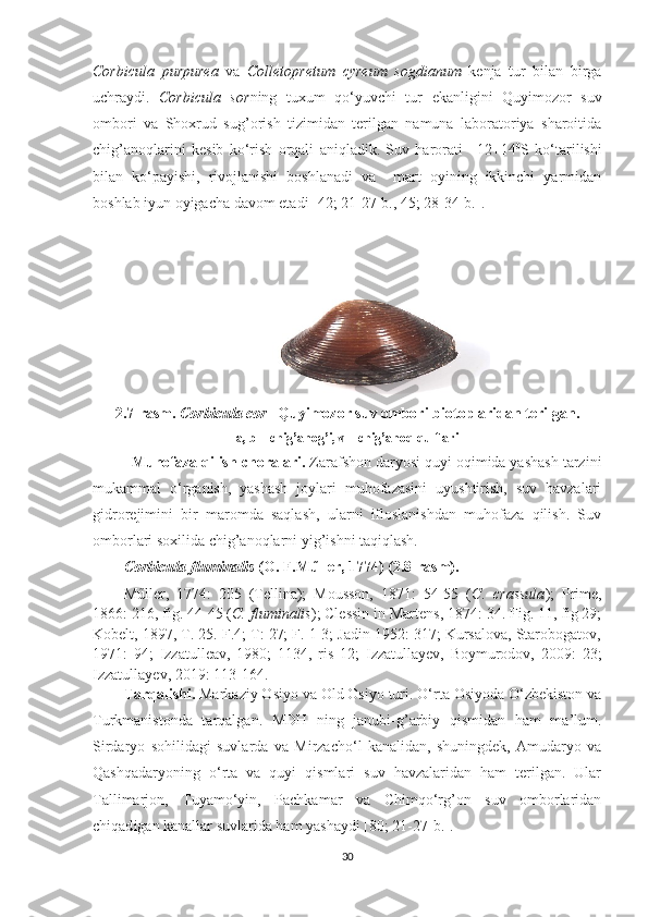 Corbicula   purpurea   va   Colletopretum   cyreum   sogdianum   kenja   tur   bilan   birga
uchraydi.   Corbicula   sor ning   tuxum   qo‘yuvchi   tur   ekanligini   Quyimozor   suv
ombori   va   Shoxrud   sug’orish   tizimidan   terilgan   namuna   laboratoriya   sharoitida
chig’anoqlarini   kesib   ko‘rish   orqali   aniqladik.   Suv   harorati   +12+14 0
S   ko‘tarilishi
bilan   ko‘payishi,   rivojlanishi   boshlanadi   va     mart   oyining   ikkinchi   yarmidan
boshlab iyun oyigacha davom etadi [42; 21-27-b., 45; 28-34-b.].
2.7-rasm.  C orbicula  c or     Quyimozor suv ombori bi o toplaridan terilgan.
a, b – chig’anog’i, v –  chig’anoq  qulflari
Muhofaza qilish choralari.  Zarafshon daryosi quyi oqimida yashash tarzini
mukammal   o‘rganish,   yashash   joylari   muhofazasini   uyushtirish,   suv   havzalari
gidrorejimini   bir   maromda   saqlash,   ularni   ifloslanishdan   muhofaza   qilish.   Suv
omborlari soxilida chig’anoqlarni yig’ishni taqiqlash.
Corbicula fluminalis  (O. F.Műller, 1774)  (2.8-rasm).  
Műller,   1774:   205   (Tellina);   Mousson,   1871:   54-55   ( C.   crassula );   Prime,
1866: 216, fig. 44-45 ( C. fluminalis ); Clessin in Martens, 1874: 34. Fig. 11, fig 29;
Kobelt, 1897, T. 25. F.4; T: 27; F. 1-3; Jadin 1952: 317; Kursalova, Starobogatov,
1971:   94;   Izzatulleav,   1980;   1134,   ris   12;   Izzatullayev,   Boymurodov,   2009:   23;
Izzatullayev, 2019: 113-164.
Tarqalishi.  Markaziy Osiyo va Old Osiyo turi. O‘rta Osiyoda O‘zbekiston va
Turkmanistonda   tarqalgan.   MDH   ning   janubi-g’arbiy   qismidan   ham   ma’lum.
Sirdaryo   sohilidagi   suvlarda   va   Mirzacho‘l   kanalidan,   shuningdek,   Amudaryo   va
Qashqadaryoning   o‘rta   va   quyi   qismlari   suv   havzalaridan   ham   terilgan.   Ular
Tallimarjon,   Tuyamo‘yin,   Pachkamar   va   Chimqo‘rg’on   suv   omborlaridan
chiqad i gan kanallar suvlarida ham yashaydi [80; 21-27- b .].
30 