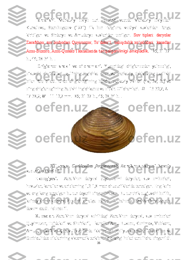 Tarqalishi .   Markaziy   Osiyo   turi.   Hozirgi   vaqtda   Markaziy   Osiyodan
Kursalova,   Starobogatov   (1971)   ilk   bor   Farg’ona   vodiysi   suvlaridan   fanga
kiritilgan   va   Sirdaryo   va   Amudaryo   suvlaridan   topilgan.   Suv   tiplari:   daryolar
Zarafshon; suv omborlari Quyimozor, To‘dako‘l;  baliqchilik xo‘jaliklari:  kanallar
Amu-Buxoro, Amu-Qorako‘l kanallarida  tarqalganlinigi aniqladik.    [85; 21-27-
b., 46; 28-34-b.]. 
Chig’anoq   shakli   va   o‘lchamlari.   Yuqoridagi   chig’anoqdan   yalpoqligi,
o‘suvchi   cho‘qqilari,   qulfining   ingichka   cheti   va   markaziy   tishlarining   tuzilishi
bilan   farq   qiladi.   Chap   chig’anog’ining   barcha   markaziy   tishlari   (4v,   2v,   2a)   va
o‘ng chig’anog’ining 3a tishi ingichkaroq va o‘tkir.  O‘lchamlari.     H  – 13-32,7;  L  –
17-38,9;  W  – 11-12,7 mm. [85; 21-27- b ., 45; 28-34- b .].
                      2 . 11 -rasm.   Corbiculina   ferghanensis   Zarafshon   daryosi   Navoiy
xududidan terildi.
Ekologiyasi.     Zarafshon   daryosi   quyi   oqimi   daryolar,   suv   omborlari,
hovuzlar, kanallar va ariqlarning 1,2-1,8 metr chuqurliklarida tarqalgan. Eng ko‘p
va eng keng tarqalgan bu tur deyarli o‘rganilmagan. Bu tur tirik tug’uvchi bo‘lib,
ko‘payishi   bosqichma-bosqich   amalga   oshadi.   U   bahorda   boshlanib   yozgacha
davom etadi. Peloreofil.
Xulosalar.   Zarafshon   daryosi   s o hilidagi   Zarafshon   daryosi,   suv   omborlari
Quyimozor, To‘dako‘l  va Sho‘rko‘l,     kanallar Amu-Buxoro, Konimex, Vobkent,
Amu-Qorako‘l   va   Qoravulbozorlarda   ikki   pallali   mollyuskalarning   Unionidae   va
Corbiculidae oilalarining sistematik tarkibining hozirgi holati atroflicha o‘rganildi.
35 
