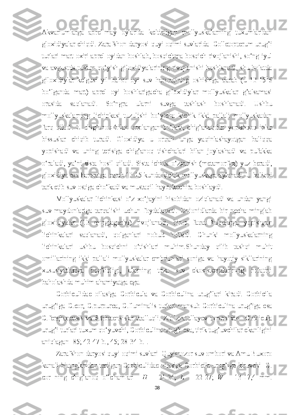 Akvariumlarga   aprel-may   oylarida   keltirilgan   mollyuskalarning   tuxumlaridan
gloxidiyalar chiqdi. Zarafshon daryosi quyi oqimi suvlarida   Colletopterum urug’i
turlari mart oxiri aprel oyidan boshlab, bosqichma-bosqich rivojlanishi, so‘ng iyul
va avgustda tuxum qo‘yish giloxidiyalarining rivojlanishi boshlanadi, shu holatda
giloxidiylar   kelgusi   yil   bahor   oyi   suv   haroratining   oshishiga   qarab   (u   10-15 0
S
bo‘lganda   mart)   aprel   oyi   boshlarigacha   giloxidiylar   mollyuskalar   g’alsamasi
orasida   saqlanadi.   So‘ngra   ularni   suvga   tashlash   boshlanadi.   Ushbu
mollyuskalarning   lichinkasi   tuzulishi   bo‘yicha   kichik   ikki   pallali   mollyuskadan
farq   qiladi.   U   chig’anoq   bilan   qoplangan   bo‘ladi,   chig’anoqdan   yopishqoq   iplar
bissuslar   chiqib   turadi.   Gloxidiya   u   orqali   unga   yaqinlashayotgan   baliqqa
yopishadi   va   uning   terisiga   chig’anoq   tishchalari   bilan   joylashadi   va   pufakka
o‘raladi,   ya’ni   sista   hosil   qiladi.   Sista   ichida   o‘zgarish   (metamorfoz)   yuz   beradi,
gloxidiya esa haroratga qarab 10-15 kunda kichik mollyuskaga aylanadi.  U baliqni
tark etib suv ostiga cho‘kadi va mustaqil hayot kechira boshlaydi.
Mollyuskalar   lichinkasi   o‘z   xo‘jayini   hisobidan   oziqlanadi   va   undan   yangi
suv   maydonlariga   tarqalishi   uchun   foydalanadi.   Unionidlarda   bir   necha   minglab
gloxidiyalar   (10   mingtagacha)   rivojlanadi,   biroq   faqat   baliqlarga   yopishgan
lichinkalari   saqlanadi,   qolganlari   nobud   bo‘ladi.   Chunki   mollyuskalarning
lichinkalari   ushbu   bosqichni   o‘tishlari   muhim.Shunday   qilib   tashqi   muhit
omillarining   ikki   pallali   mollyuskalar   embrionlari   soniga   va   hayotiy   sikllarining
xususiyatlariga   bog’liqligi,   ularning   toza   suv   ekosistemalarining   holatini
baholashda muhim ahamiyatga ega.
Corbiculidae   oilasiga   Corbicula   va   Corbiculina   urug’lari   kiradi.   Corbicila
urug’iga   C.cor,   C.purpurea,   C.fluminalis   turlari   mansub   Corbiculina   urug’iga   esa
C.ferghanensis   va   S.tibetensislar   taalluqli.   Z.I.Izzatullayev   tomonidan     Corbicula
urug’i turlari tuxum qo‘yuvchi, Corbiculina urug’i esa, tirik tug’uvchilar ekanligini
aniqlagan [85; 42-47-b., 45; 28-34-b.].
Zarafshon daryosi quyi oqimi suvlari  Quyimozor suv ombori va Amu Buxoro
kanali biatoplaridan terilgan Corbiculidae oilasiga Corbicila urug’iga kiruvchi   C.
cor   ning   chig’anoq   o‘lchamlari     H   –   21-24;   L   –   22-27;   W   –   13-17,4   mm.
38 