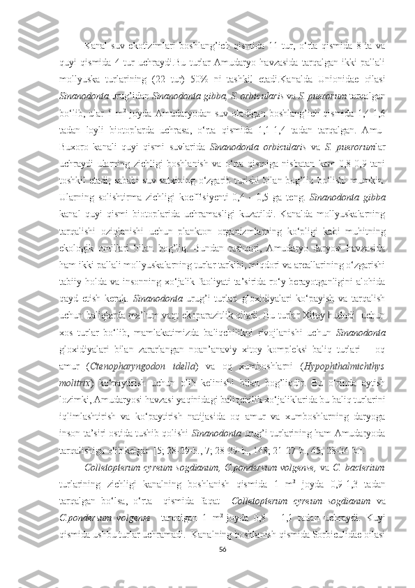 Kanal   suv   ekotizimlari   boshlang’ich   qismida   11   tur,   o‘rta   qismida   8   ta   va
quyi   qismida   4   tur   uchraydi.Bu   turlar   Amudaryo   havzasida   tarqalgan   ikki   pallali
mollyuska   turlarining   (22   tur)   50%   ni   tashkil   etadi.Kanalda   Unionidae   oilasi
Sinanodonta  urug’idan  Sinanodonta gibba, S. orbicularis  va  S. puerorum  tarqalgan
bo‘lib,   ular   1   m 2
  joyda   Amudaryodan   suv   oladigan   boshlang’ich   qismida   1,4-1,6
tadan   loyli   biotoplarda   uchrasa,   o‘rta   qismida   1,1-1,4   tadan   tarqalgan.   Amu-
Buxoro   kanali   quyi   qismi   suvlarida   Sinanodonta   orbicularis   va   S.   puerorum lar
uchraydi   ularning   zichligi   boshlanish   va   o‘rta   qismiga   nisbatan   kam   0,8-0,9   tani
toshkil  etadi, sababi  suv satxining o‘zgarib turishi  bilan bog’liq bo‘lishi  mumkin.
Ularning   solishtirma   zichligi   koeffisiyenti   0,4   -   0,5   ga   teng.   Sinanodonta   gibba
kanal   quyi   qismi   biotoplarida   uchramasligi   kuzatildi.   Kanalda   mollyuskalarning
tarqalishi   oziqlanishi   uchun   plankton   organizmlarning   ko‘pligi   kabi   muhitning
ekologik   omillari   bilan   bog’liq.   Bundan   tashqari,   Amudaryo   daryosi   havzasida
ham ikki pallali mollyuskalarning turlar tarkibi, miqdori va areallarining o‘zgarishi
tabiiy holda va insonning xo‘jalik faoliyati ta’sirida ro‘y berayotganligini alohida
qayd   etish   kerak.   Sinanodonta   urug’i   turlari   gloxidiyalari   ko‘payish   va   tarqalish
uchun baliqlarda ma’lum vaqt ekoparazitlik qiladi. Bu turlar Xitoy hududi   uchun
xos   turlar   bo‘lib,   mamlakatimizda   baliqchilikni   rivojlanishi   uchun   Sinanodonta
gloxidiyalari   bilan   zararlangan   noan’anaviy   xitoy   kompleksi   baliq   turlari   –   oq
amur   ( Ctenopharyngodon   idella )   va   oq   xumboshlarni   ( Hypophthalmichthys
molitrix )   ko‘paytirish   uchun   olib   kelinishi   bilan   bog’liqdir.   Bu   o‘rinda   aytish
lozimki, Amudaryosi havzasi yaqinidagi baliqchilik xo‘jaliklarida bu baliq turlarini
iqlimlashtirish   va   ko‘paytirish   natijasida   oq   amur   va   xumboshlarning   daryoga
inson ta’siri ostida tushib qolishi   Sinanodonta  urug’i turlarining ham Amudaryoda
tarqalishiga olib kelgan [5; 28-29-b., 7; 28-39-b., 148; 21-27-b., 45; 28-34-b.]. 
Colletopterum cyreum sogdianum, C.pondersum  volgense,   va   C. bacterium
turlarining   zichligi   kanalning   boshlanish   qismida   1   m 2
  joyda   0,9-1,3   tadan
tarqalgan   bo‘lsa,   o‘rta     qismida   faqat     Colletopterum   cyreum   sogdianum   va
C.pondersum   volgense     tarqalgan   1   m 2  
joyda   0,8   –   1,1   tadan   uchraydi.   Kuyi
qismida ushbu turlar uchramadi.  Kanalning boshlanish qismida Sorbiculidae oilasi
56 