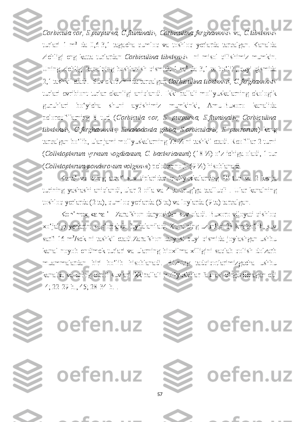 Corbicula cor,   S.purpurea, C.fluminalis, Corbiculina ferghanensis  va , C.tibetensis
turlari   1   m 2
  da   0,6-3,1   tagacha   qumloq   va   toshloq   yerlarda   tarqalgan.   Kanalda
zichligi   eng   katta   turlardan   Corbiculina   tibetensis     ni   misol   qilishimiz   mumkin.
Uning   zichligi   kanalning   boshlanish   qismida   1   m 2
  da   3,1   ta   bo‘lib,   quyi   qismida
2,1 tashkil etadi.  Suv ekotizimida tarqalgan  Corbiculina tibetensis, C.ferghanensis
turlari   evribiont   turlar   ekanligi   aniqlandi.   Ikki   pallali   mollyuskalarning   ekologik
guruhlari   bo‘yicha   shuni   aytishimiz   mumkinki,   Amu-Buxoro   kanalida
peloreofillarning   8   turi   ( Corbicula   cor,   S.   purpurea,   S.fluminalis,   Corbiculina
tibetensis,   C.ferghanensis,   Sinanodonta   gibba,   S.orbicularis,   S.   puerorum )   keng
tarqalgan bo‘lib, ular jami mollyuskalarning 73 % ni tashkil etadi. Reofillar 2 turni
( Colletopterum syreum sogdianum, C. bacterianum ) (18 %) o‘z ichiga oladi, 1 tur
( Colletopterum ponderosum volgense ) pelolemnofil (9 %) hisoblanadi. 
Kanal   va   uning   atrofi   suv   tiplaridan   mollyuskalarning   10   turi   va   2   kenja
turining   yashashi   aniqlandi,   ular   2   oila   va   4   ta   urug’ga   taalluqli   .   Ular   kanalning
toshloq yerlarda (2 ta), qumloq yerlarda (5 ta) va loylarda (9 ta) tarqalgan. 
Konimex kanali -   Zarafshon daryosidan suv oladi. Buxoro viloyati qishloq
xo‘jaligi yerlarini sug’orishda foydalaniladi. Kanalning uzunligi 28 km bo‘lib, suv
sarfi   16   m 3
/sek   ni   tashkil   etadi.Zarafshon   daryosi   quyi   qismida   joylashgan   ushbu
kanal   noyob   endimek   turlari   va   ularning   bioxilma-xilligini   saqlab   qolish   dolzarb
muammalardan   biri   bo‘lib   hisoblanadi.   Bizning   tadqiqotlarimizgacha   ushbu
kanalda va uning atrofi suvlari ikkipallali mollyuskalar faunasi o‘rganilmagan edi
[4; 22-29-b., 45; 28-34-b.].
57 