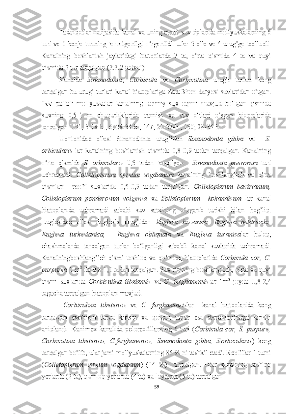 Tadqiqotlar natijasida kanal va uning atrofi suv tiplarida mollyuskalarning 6
turi va 1 kenja turining tarqalganligi o‘rganildi. Ular 2 oila va 4 urug’ga taalluqli.
Kanalning   boshlanish   jaylaridagi   biatoplarda   7   ta,   o‘rta   qismida   4   ta   va   quyi
qismida 2 tur tarqalgan (3.3.2-jadval).
Kanalda   Sinanodonta ,   Corbicula   va   Corbiculina   urug’i   turlari   keng
tarqalgan  bu urug’  turlari  kanal  biatoplariga Zarafshon daryosi  suvlaridan o‘tgan.
Ikki   pallali   mollyuskalar   kanalning   doimiy   suv   oqimi   mavjud   bo‘lgan   qismida
suvning   0,5-1   m   chuqurliklarida   qamish   va   suv   o‘tlari   o‘sgan   biotoplarida
tarqalgan [131; 3-18-b., 6; 28-34-b.,  147 ; 21-27-b., 150; 28-34-b.].
Uonionidae   oilasi   Sinanodonta   urug’idan   Sinanodonta   gibba   va     S.
orbicularis   lar   kanalning   boshlanish   qismida   0,8-0,9   tadan   tarqalgan.   Kanalning
o‘rta   qismida   S.   orbicularis   0,5   tadan   tarqalgan .     Sinanodonta   puerorum   turi
uchramadi.   Colletopterum   cyreum   sogdianum   kanalning   boshlang’ich   va   o‘rta
qismlari     reofil   suvlarida   0,6-0,9   tadan   tarqalgan.   Colletopterum   bactrianum,
Colletopterum   ponderosum   volgense   va   Solletopterum     kokandicum   lar   kanal
biatoplarida   uchramadi   sababi   suv   satxining   o‘zgarib   turishi   bilan   bog’liq.
Euglesidae   oilasi   Euglesia   urug’idan   Euglesa   hissarica,   Euglesa   heldreichi,
Euglesa   turkestanica,     Euglesa   obliquata   va   Euglesa   turanica lar   buloq,
chashmalarda   tarqalgan   turlar   bo‘lganligi   sababli   kanal   suvlarida   uchramadi.
Kanalningboshlang’ich   qismi   toshloq   va   qo‘mloq   biatoplarida   Corbicula   cor,   C.
purpurea  1 m 2
 da 0,8-1,0 tadan tarqalgan. Suv tipining boshlang’ich, o‘rta va quyi
qismi   suvlarida   Corbiculina   tibetensis   va   C.   ferghanensis lar   1m 2
  joyda   0,8-2,4
tagacha tarqalgan biatoplari mavjud. 
  Corbiculina   tibetensis   va   C.   ferghanensis lar     kanal   biatoplarida   keng
tarqalgan   evribiont   turga   kirishi   va   qolgan   turlar   esa   stenabiontlarga   kirishi
aniqlandi.   Kanimex   kanalida   peloreofillarning   6   turi   ( Corbicula   cor,   S.   purpure,
Corbiculina   tibetensis,   C.ferghanensis,   Sinanodonta   gibba,   S.orbicularis )   keng
tarqalgan bo‘lib, ular jami mollyuskalarning 86 % ni tashkil etadi. Reofillar 1 turni
( Colletopterum   syreum   sogdianum )   (14   %)     tarqalgan.   Ular   kanalning   toshloq
yerlarda (2 ta), qumloq yerlarda (4 ta) va loylarda (5 ta) tarqalgan 
59 