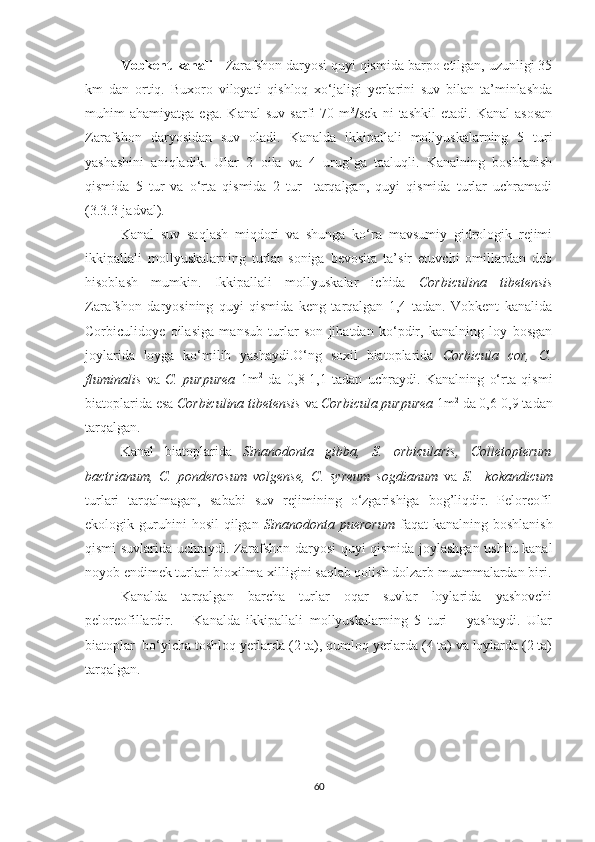 Vobkent kanali -  Zarafshon daryosi quyi qismida barpo etilgan, uzunligi 35
km   dan   ortiq.   Buxoro   viloyati   qishloq   xo‘jaligi   yerlarini   suv   bilan   ta’minlashda
muhim   ahamiyatga   ega.   Kanal   suv   sarfi   70   m 3
/sek   ni   tashkil   etadi.   Kanal   asosan
Zarafshon   daryosidan   suv   oladi.   Kanalda   ikkipallali   mollyuskalarning   5   turi
yashashini   aniqladik.   Ular   2   oila   va   4   urug’ga   taaluqli.   Kanalning   boshlanish
qismida   5   tur   va   o‘rta   qismida   2   tur     tarqalgan,   quyi   qismida   turlar   uchramadi
(3.3.3-jadval).
Kanal   suv   saqlash   miqdori   va   shunga   ko‘ra   mavsumiy   gidrologik   rejimi
ikkipallali   mollyuskalarning   turlar   soniga   bevosita   ta’sir   etuvchi   omillardan   deb
hisoblash   mumkin.   Ikkipallali   mollyuskalar   ichida   Corbiculina   tibetensis
Zarafshon   daryosining   quyi   qismida   keng   tarqalgan   1,4   tadan.   Vobkent   kanalida
Corbiculidoye   oilasiga   mansub   turlar   son   jihatdan   ko‘pdir,   kanalning   loy   bosgan
joylarida   loyga   ko‘milib   yashaydi.O‘ng   soxil   biatoplarida   Corbicula   cor,   C.
fluminalis   va   C.   purpurea   1m 2
  da   0,8-1,1   tadan   uchraydi.   Kanalning   o‘rta   qismi
biatoplarida esa  Corbiculina tibetensis  va  Corbicula purpurea  1m 2
 da 0,6-0,9 tadan
tarqalgan.
Kanal   biatoplarida   Sinanodonta   gibba,   S.   orbicularis,   Colletopterum
bactrianum,   C.   ponderosum   volgense,   C.   syreum   sogdianum   va   S.     kokandicum
turlari   tarqalmagan,   sababi   suv   rejimining   o‘zgarishiga   bog’liqdir.   Peloreofil
ekologik  guruhini  hosil   qilgan   Sinanodonta  puerorum   faqat   kanalning  boshlanish
qismi suvlarida uchraydi.   Zarafshon daryosi quyi qismida joylashgan ushbu kanal
noyob endimek turlari bioxilma-xilligini saqlab qolish dolzarb muammalardan biri.
Kanalda   tarqalgan   barcha   turlar   oqar   suvlar   loylarida   yashovchi
peloreofillardir.       Kanalda   ikkipallali   mollyuskalarning   5   turi       yashaydi.   Ular
biatoplar    bo‘yicha toshloq yerlarda (2 ta), qumloq yerlarda (4 ta) va loylarda (2 ta)
tarqalgan.
 
60 