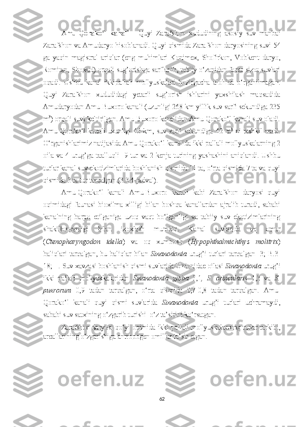 Amu-Qorako‘l   kanali   -   Quyi   Zarafshon   xududining   asosiy   suv   manbai
Zarafshon va Amudaryo hisoblanadi. Quyi qismida Zarafshon daryosining suvi 54
ga   yaqin   magistral   ariqlar   (eng   muhimlari   Konimex,   Shofirkon,   Vobkent   daryo,
Romitan, Shoxud) orqali sug’orishga sarflanib, tabiiy o‘zanidan faqat sizot suvlari
oqadi.   Ushbu   kanal   ikkipallali   mollyuskalari   hozirgacha   alohida   o‘rganilmagan.
Quyi   Zarafshon   xududidagi   yetarli   sug’orish   ishlarini   yaxshilash   maqsadida
Amudaryodan Amu-Buxoro kanali (uzunligi 268 km yillik suv sarfi sekundiga 235
m 3
) orqali suvi keltirilgan. Amu-Buxoro kanalidan Amu-Qorako‘l kanali suv oladi.
Amu-Qorako‘l   kanali   uzunligi   40  km,  suv  sarfi   sekundiga   42  m 3
  ni   tashkil  etadi.
O‘rganishlarimiz natijasida Amu-Qorako‘l kanalida ikki pallali mollyuskalarning 2
oila va 4 urug’ga taalluqli    9 tur  va 2 kenja turining yashashini  aniqlandi. Ushbu
turlar kanal suv ekotizimlarida boshlanish qismida 11 ta, o‘rta qismida 7 ta va quyi
qismida 3 ta tur tarqalgan (3.3.4-jadval).
Amu-Qorako‘l   kanali   Amu-Buxoro   kanali   kabi   Zarafshon   daryosi   quyi
oqimidagi   faunasi   bioxilma-xilligi   bilan   boshqa   kanallardan   ajralib   turadi,   sababi
kanalning   barpo   etilganiga   uzoq   vaqt   bo‘lganligi   va   tabiiy   suv   ekotizimlarining
shakillanganligi   bilan   izoxlash   mumkin.   Kanal   suvlarida   oq   amur
( Ctenopharyngodon   idella )   va   oq   xumbosh   ( Hypophthalmichthys   molitrix )
baliqlari  tarqalgan, bu baliqlar  bilan   Sinanodonta   urug’i  turlari  tarqalgan [3;  B.3-
18; ] . Suv xavzasi boshlanish qismi suvlarida Unionidae oilasi  Sinanodonta  urug’i
ikki   pallali   mollyuskalaridan   Sinanodonta   gibba   1,1 ,   S.   orbicularis   1,3   va   S.
puerorum   0,9   tadan   tarqalgan,   o‘rta   qismida   0,7-0,8   tadan   tarqalgan.   Amu-
Qorako‘l   kanali   quyi   qismi   suvlarida   Sinanodonta   urug’i   turlari   uchramaydi,
sababi suv satxining o‘zgarib turishi  o‘z ta’sirini ko‘rsatgan.
Zarafshon daryosi qo‘yi oqimida ikki pallali mollyuskalarning turlar tarkibi,
areallarining o‘zgarishiga antropogen omillar ta’sir etgan. 
62 