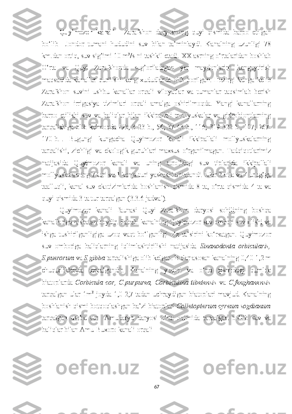 Quyimozor   kanali   -   Zarafshon   daryosining   quyi   qismida   barpo   etilgan
bo‘lib     Jondor   tumani   hududini   suv   bilan   ta’minlaydi.   Kanalning   uzunligi   78
km.dan ortiq, suv sig’imi 10 m 3
/s ni tashkil etadi. XX asrning o‘rtalaridan boshlab
O‘rta   va   Quyi   Zarafshonda   sug’oriladigan   yer   maydonlarini   kengaytirish
maqsadida   kanallar   qurilishi   keng   xududlarda   olib   borilgan.   Hozirgi   kunga   kelib
Zarafshon   suvini   ushbu   kanallar   orqali   viloyatlar   va   tumanlar   taqsimlab   berish
Zarafshon   irrigasiya   tizimlari   orqali   amalga   oshirilmoqda.   Yangi   kanallarning
barpo   etilishi   suv   va   baliqlar   bilan   ikkipallali   mollyuskalar   va   gidrobiontlarning
tarqalishiga  olib kelmoqda [93;  3-23- b ., 56;  37-43- b ., 116;  319-322- b ., 117;  167-
170- b .].   Bugungi   kungacha   Quyimozor   kanali   ikkipallali   mollyuskalarning
tarqalishi,   zichligi   va   ekologik   guruhlari   maxsus   o‘rganilmagan.   Tadqiqotlarimiz
natijasida   Quyimozor   kanali   va   uning   atrofidagi   suv   tiplarida   ikkipallali
mollyuskalarning 7 turi va 1 kenja turi yashashi aniqlandi. Ular 2 oila va 4 urug’ga
taalluqli,   kanal   suv   ekotizimlarida   boshlanish   qismida   8   ta,   o‘rta   qismida   4   ta   va
quyi qismida 3 ta tur tarqalgan (3.3.6-jadval).
Quyimozor   kanali   faunasi   Quyi   Zarafshon   daryosi   sohilining   boshqa
kanallariga nisbatan boydir. Sababi kanalning Quyimozor suv ombori suv olishi va
ishga   tushirilganligiga   uzoq   vaqt   bo‘lganligi   o‘z   ta’sirini   ko‘rsatgan.   Quyimozor
suv   omboriga   baliqlarning   iqlimlashtirilishi   natijasida   Sinanodonta   orbicularis,
S.puerorum  va  S.gibba  tarqalishiga olib kelgan. Bular asosan kanalning 0,40-1,2 m
chuqurliklarida   tarqalgandir.   Kanalning   yuqori   va   o‘rta   qismidagi   qumloq
biatoplarda   Corbicula   cor,   C.purpurea,   Corbiculina   tibetensis   va   C.fenghanensis
tarqalgan  ular  1m 2
  joyda 1,0-2,7 tadan  uchraydigan  biatoplari  mavjud. Kanalning
boshlanish qismi botqoqlashgan ba’zi biatoplari  Colletopterum cyreum sogdianum
tarqalgan   ushbu   tur     Amudaryo   daryosi   o‘rta   oqimida   tarqalgan   bo‘lib   suv   va
baliqlar bilan Amu-Buxoro kanali orqali 
   
67 