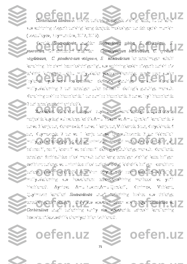 Corbiculina   tibetensis   boshqa   turlarga  qaraganda   zichligi   katta,  bu   tur   kanal
suv sathitning o‘zgarib turishigi keng darajada maslashgan tur deb aytish mumkin
(Izzatullayev, Boymurodov, 2017, 2019).
Kanalda   Sinanodonta   urug’dan   Sinanodonta   gibba,   S.   orbicularis,   S.
puerorum,   Colletopterum   urug’idan     Colletopterum   bactrianum,   C.   cyreum
sogdianum,     C.   ponderosum   volgense,   S.     kokandicum   lar   tarqalmagan   sababi
kanalning  bir qismi betonlashtirilganligi, suv sathining keskin o‘zgarib turishi o‘z
ta’sirini   ko‘rsatgan.Ushbu   mollyuskalar   yashash   sharoitiga   qarab   oqar   suvlar
loylarida   yashovchi   palereofillar   ekologik   guruhiga   mansub.   K analda
mollyuskalarning   3   turi   tarqalgan   ,ular   peloreofil   ekologik   guruhiga   mansub.
Kanalning toshloq biatoplarida 1 tur qumloq biatoplarida 3 tur va loyli biatoplarida
2 turi tarqalganligini aniqladik.
Xulosalar.   Zarafshon   daryosi   quyi   oqimi   kanallaridagi   tadqiqotlarimiz
natijasida kuydagi xulosalarga keldik Amu-Buxoro va Amu-Qorako‘l kanallarida 9
tur va 2 kenja tur, Kanemexda 6 tur va 1 kenja tur, Vobkentda 5 tur, Koryakinada 6
tur,   Kuymazorda   7   tur   va   1   kenja   tur   va   Qorovulbozorda   3   tur   ikkipallali
mollyuskalar   tarqalganligi   biz   tamonimizdan   birinchi   marta   aniqlandi,   ular   4   xil
peloreofil,  reofil, kpenofil  va  peloreofil   ekologik guruhlariga  mansub.  Kanallarda
tarqalgan   Sorbiculidae   oilasi   mansub   turlar   keng   tarqalgan   zichligi   katta   bo‘lgan
evribiont turlarga va Unionidae oilasi turlari zichligi kichchik bo‘lgan   stenabiont
turlarga   kirishini   aniqladik.   Zarafshon   daryosi   quyi   oqimi   kanallari   ikkipallali
mollyuskalarning   suv   havzalariaro   taqsimlanishining   manbaasi   va   yo‘li
hisoblanadi.   Ayniqsa   Amu-Buxoro,Amu-Qorako‘l,   Konimex,   Vobkent,
Quyimozor   kanallari   Sinanodonta   urug’i   turlarining   boshqa   suv   tiplariga
tarqalishiga   olib   kelgan.   Tabiiy   suv   xavzalari   uchun   xos   bo‘lgan   Corbicula   va
Corbiculina   urug’i   turlarining   sun’iy   suv   xavzalarida   uchrashi   kanallarning
bevosita o‘tkazuvchilik ahamiyati bilan izohlanadi. 
71 