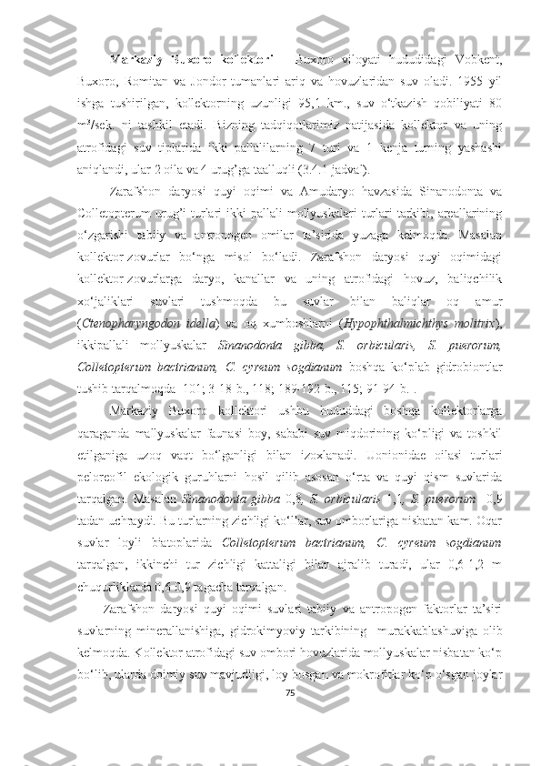 Markaziy   Buxoro   kollektori   -   Buxoro   viloyati   hududidagi   Vobkent,
Buxoro,   Romitan   va   Jondor   tumanlari   ariq   va   hovuzlaridan   suv   oladi.   1955   yil
ishga   tushirilgan,   kollektorning   uzunligi   95,1   km.,   suv   o‘tkazish   qobiliyati   80
m 3
/sek.   ni   tashkil   etadi.   Bizning   tadqiqotlarimiz   natijasida   kollektor   va   uning
atrofidagi   suv   tiplarida   ikki   pallalilarning   7   turi   va   1   kenja   turning   yashashi
aniqlandi, ular 2 oila va 4 urug’ga taalluqli (3.4.1-jadval).
Zarafshon   daryosi   quyi   oqimi   va   Amudaryo   havzasida   Sinanodonta   va
Colletopterum  urug’i   turlari  ikki   pallali  mollyuskalari   turlari  tarkibi, areallarining
o‘zgarishi   tabiiy   va   antropogen   omilar   ta’sirida   yuzaga   kelmoqda.   Masalan
kollektor-zovurlar   bo‘nga   misol   bo‘ladi.   Zarafshon   daryosi   quyi   oqimidagi
kollektor-zovurlarga   daryo,   kanallar   va   uning   atrofidagi   hovuz,   baliqchilik
xo‘jaliklari   suvlari   tushmoqda   bu   suvlar   bilan   baliqlar   oq   amur
( Ctenopharyngodon   idella )   va   oq   xumboshlarni   ( Hypophthalmichthys   molitrix ),
ikkipallali   mollyuskalar   Sinanodonta   gibba,   S.   orbicularis,   S.   puerorum,
Colletopterum   bactrianum,   C.   cyreum   sogdianum   boshqa   ko‘plab   gidrobiontlar
tushib tarqalmoqda [101; 3-18-b., 118; 189-192-b., 115; 91-94-b.].
Markaziy   Buxoro   kollektori   ushbu   hududdagi   boshqa   kollektorlarga
qaraganda   mallyuskalar   faunasi   boy,   sababi   suv   miqdorining   ko‘pligi   va   toshkil
etilganiga   uzoq   vaqt   bo‘lganligi   bilan   izoxlanadi.   Uonionidae   oilasi   turlari
peloreofil   ekologik   guruhlarni   hosil   qilib   asosan   o‘rta   va   quyi   qism   suvlarida
tarqalgan.   Masalan   Sinanodonta   gibba   0,8 ,   S.   orbicularis   1,1 ,   S.   puerorum     0,9
tadan uchraydi. Bu turlarning zichligi ko‘llar, suv omborlariga nisbatan kam. Oqar
suvlar   loyli   biatoplarida   Colletopterum   bactrianum,   C.   cyreum   sogdianum
tarqalgan,   ikkinchi   tur   zichligi   kattaligi   bilan   ajralib   turadi,   ular   0,6-1,2   m
chuqurliklarda 0,6-0,9 tagacha tarqalgan.
Zarafshon   daryosi   quyi   oqimi   suvlari   tabiiy   va   antropogen   faktorlar   ta’siri
suvlarning   minerallanishiga,   gidrokimyoviy   tarkibining     murakkablashuviga   olib
kelmoqda. Kollektor atrofidagi suv ombori hovuzlarida mollyuskalar nisbatan ko‘p
bo‘lib, ularda doimiy suv mavjudligi, loy bosgan va mokrofitlar ko‘p o‘sgan joylar
75 