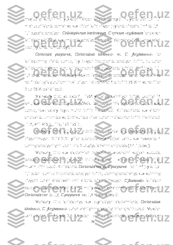 mavjudligi sababli mollyuskalar nisbatan ko‘plab uchraydi. Bu yerda ular 0,2 –1,1
m chuqurliklarda qamish va suv o‘tlari ko‘p o‘sgan joylarda o‘rtacha 1m 2  
da 0,6 -
1,1 tagacha tarqalgan.   Colletopterum bactrianum, C.cyreum sogdianum   lar asosan
kollektor sohilidagi suv omborida tarqalgan biroq kollektorning o‘zida uning sekin
oqar joylarida ham uchraydi.
Corbicula   purpurea ,   Corbiculina   tibetensis   va   C.   ferghanensis   lar
kollektorning   o‘zida   qumoq,   loy   bosgan   biatoplarida   tarqalgan   bo‘lib,   bu   turlar
kollektorda nisbatan kam, kollektor atrofidagi hovuzlarda ko‘plab   1m 2
  joyda 1,1-
1,3   ta   dan   tarqalgan.   Markaziy   Buxoro   kollektorida   tarqagan   turlar   peloreofil   va
reofil ekologik guruhlarni hosil qilgan. Peloreofillar 6 ta bo‘lib 75 % ni va reofillar
2 tur 25 % tashkil etadi.
Markaziy   Olot   kollektori   -   1956   yil   ishga   tushirilgan   bo‘lib,   uzunligi   16
km.,   suv   o‘tkazish   qobiliyati   5   m 3
/sek.   dan   ortiq.   Tirik   organizmlar   uchun   suv,
tuproq,   havo   asosiy   hayot   muhiti   bo‘lib   hisoblanadi.   Kollektorlarda   suv   sifatini
aniqlashda Unionidae va Corbisulidae oilasi  turlari indikatorlar bo‘lib hisoblanadi
[106; 841-845-b., 119; 192-195-b.]. 
Markaziy   Olot   kollektori   gidrobiontlari   faunasi   shu   davrgacha   alohida
o‘rganilmagan.   2017-2020   yillar   tadqiqotlarimiz   natijasi   ushbu   suv   havzasida   4
turning tarqalganligini ular 1 oila 2 urug’ga kirishini aniqladek (3.4.1-jadval).
Markaziy   Olot   suv   ekotizimlari   barqaror   muvozanatini   saqlash   xududda
tarqalgan   ikkipallali   mollyuskalar   biologik   xilma   –   xilligini   muhofaza   qilish
muxim o‘rin tutadi. Kollektorda  Corbicula cor  va  C.purpurea    lar 1 m 2
 joyda 0,9-
1,1 tadan  qumloq biotoplarda tarqalgan bo‘lib, ularning tarqalishiga suv sathining
o‘zgarib   turishi   cheklovchi   omil   sifatida   ta’sir   ko‘rsatgan.   C.fluminalis   kollektor
ekotizimlarida   uchramaydi.   Ushbu   mollyuskalar   solishtirma   zichligi   koeffisiyenti
Corbicula cor  da 0,7 , C.purpurea   esa 0,8 ni tashkil etadi.
Markaziy   Olot   kollektoriga   suv   quyiladigan   ekotizimlarda   Corbiculina
tibetensis, C. ferghanensis  turlari zichligining kattaligi bilan ajralib turadi. Masalan
ushbu   turlar   1   m 2
  joyda   2,1-2,3   tadan     qumloq   biotoplarda   tarqalgan.   Kollektor
76 