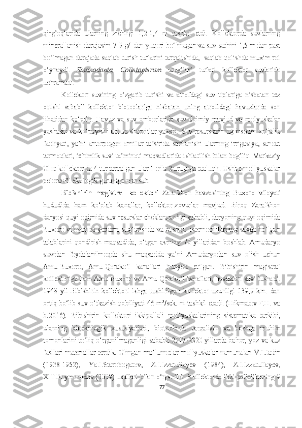 qirg’oqlarida   ularning   zichligi   1,2-1,4   ni   tashkil   etdi.   Kollektorda   suvlarning
minerallanish darajasini 7-9 g/l dan yuqori bo‘lmagan va suv sathini 1,5 m dan past
bo‘lmagan darajada saqlab turish turlarini tarqalishida,  saqlab qolishda muxim rol
o‘ynaydi.   Sinanodonta,   Colletopterum   urug’lari   turlari   kollektor   suvlarida
uchramadi.  
Kollektor   suvining   o‘zgarib   turishi   va   atrofdagi   suv   tiplariga   nisbatan   tez
oqishi   sababli   kollektor   biotoplariga   nisbatan   uning   atrofidagi   havuzlarda   son
jihatidan   ko‘pdir.   Havuz   va   suv   omborlarida   suv   doimiy   mavjud   va   molyuskalar
yashashi va ko‘payishi uchun sharoitlar yaxshi. Suv resurslarining insonni xo‘jalik
faoliyati,   ya’ni   antorpogen   omillar   ta’sirida   sarflanishi   ularning   irrigasiya,   sanoat
tarmoqlari, ichimlik suvi ta’minoti maqsadlarida ishlatilish bilan bog’liq. Markaziy
Olot kollektorida 4 tur tarqalgan ular 1 oila 2 urug’ga taaluqli. Ushbu mollyuskalar
peloreofil ekologik guruhiga mansub.
Bibishirin   magistral   kollektori   Zarafshon   havzasining   Buxoro   viloyati
hududida   ham   ko‘plab   kanallar,   kollektor-zovurlar   mavjud.   Biroq   Zarafshon
daryosi quyi oqimida suv resurslar cheklanganligi sababli, daryoning quyi oqimida
Buxoro viloyatida yerlarni sug’orishda va boshqa   istemochilarning suvga bo‘lgan
talablarini   qondirish   maqsadida,   o‘tgan   asrning   70   yillaridan   boshlab.   Amudaryo
suvidan   foydalanilmoqda   shu   maqsadda   ya’ni   Amudaryodan   suv   olish   uchun
Amu-Buxoro,   Amu-Qorako‘l   kanallari   bunyod   etilgan.   Bibishirin   magistral
kollektoriga ham Amu-Buxoro va Amu-Qorako‘l kanallari, havuzlari suvi tushadi.
1948   yil   Bibishirin   kollektori   ishga   tushirilgan   kollektor   uzunligi   139,9   km.   dan
ortiq bo‘lib suv o‘tkazish qobiliyati 46 m 3
/sek. ni tashkil etadi. (Hikmatov F.H. va
b.2016).   Bibishirin   kollektori   ikkipallali   mollyuskalarining   sistematika   tarkibi,
ularning   bioekologik   xususiyatlari,   biotoplarda   tarqalishi   va   boshqa   muhim
tomonlarini to‘liq o‘rganilmaganligi sababli 2017-2020 yillarda bahor, yoz va kuz
fasllari materiallar terdik. Olingan ma’lumotlar mollyuskalar namunalari V.I.Jadin
(1938-1952),   Ya.I.Starobogatov,   Z.I.Izzatullayev   (1984),   Z.I.Izzatullayev,
X.T.Boymorodov (2009) usullari bilan o‘rganildi. Kollektorda ikki pallalilarning 9
77 