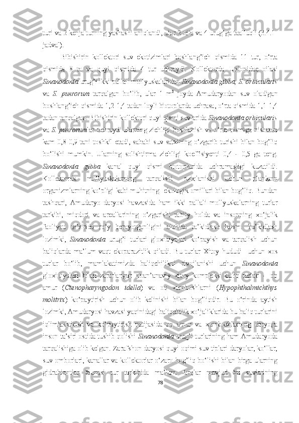 turi va 2 kenja turning yashashi aniqlandi, ular 2 oila va 4 urug’ga taalluqli (3.4.1-
jadval).
Bibishirin   kollektori   suv   ekotizimlari   boshlang’ich   qismida   11   tur,   o‘rta
qismida   8   ta   va   quyi   qismida   4   tur   uchraydi.   Kollektorda   Unionidae   oilasi
Sinanodonta  urug’i ikki pallali mollyuskalaridan  Sinanodonta gibba, S. orbicularis
va   S.   puerorum   tarqalgan   bo‘lib,   ular   1   m 2
  joyda   Amudaryodan   suv   oladigan
boshlang’ich qismida 1,2-1,4 tadan loyli biotoplarda uchrasa, o‘rta qismida 1,1-1,4
tadan tarqalgan. Bibishirin kollektori quyi qismi suvlarida  Sinanodonta orbicularis
va   S. puerorum lar uchraydi ularning zichligi boshlanish va o‘rta qismiga nisbatan
kam   0,8-0,9   tani   toshkil   etadi,   sababi   suv   satxining   o‘zgarib   turishi   bilan   bog’liq
bo‘lishi   mumkin.   Ularning   solishtirma   zichligi   koeffisiyenti   0,4   -   0,5   ga   teng.
Sinanodonta   gibba   kanal   quyi   qismi   biotoplarida   uchramasligi   kuzatildi.
Kollektorda   mollyuskalarning   tarqalishi   oziqlanishi   uchun   plankton
organizmlarning ko‘pligi kabi muhitning   ekologik omillari bilan bog’liq. Bundan
tashqari,   Amudaryo   daryosi   havzasida   ham   ikki   pallali   mollyuskalarning   turlar
tarkibi,   miqdori   va   areallarining   o‘zgarishi   tabiiy   holda   va   insonning   xo‘jalik
faoliyati   ta’sirida   ro‘y   berayotganligini   alohida   ta’kidlash   lozim.   Ta’kidlash
lozimki,   Sinanodonta   urug’i   turlari   gloxidiyalari   ko‘payish   va   tarqalish   uchun
baliqlarda   ma’lum   vaqt   ekoparazitlik   qiladi.   Bu   turlar   Xitoy   hududi     uchun   xos
turlar   bo‘lib,   mamlakatimizda   baliqchilikni   rivojlanishi   uchun   Sinanodonta
gloxidiyalari   bilan   zararlangan   noan’anaviy   xitoy   kompleksi   baliq   turlari   –   oq
amur   ( Ctenopharyngodon   idella )   va   oq   xumboshlarni   ( Hypophthalmichthys
molitrix )   ko‘paytirish   uchun   olib   kelinishi   bilan   bog’liqdir.   Bu   o‘rinda   aytish
lozimki, Amudaryosi havzasi yaqinidagi baliqchilik xo‘jaliklarida bu baliq turlarini
iqlimlashtirish   va   ko‘paytirish   natijasida   oq   amur   va   xumboshlarning   daryoga
inson ta’siri ostida tushib qolishi   Sinanodonta  urug’i turlarining ham Amudaryoda
tarqalishiga olib kelgan. Zarafshon daryosi quyi oqimi suv tiplari daryolar, ko‘llar,
suv omborlari, kanallar va kollektorlar o‘zaro bog’liq bo‘lishi bilan birga ularning
gidrabiontlar   faunasi   tur   tarkibida   ma’lum   farqlar   mavjud   bu   suvlarining
78 