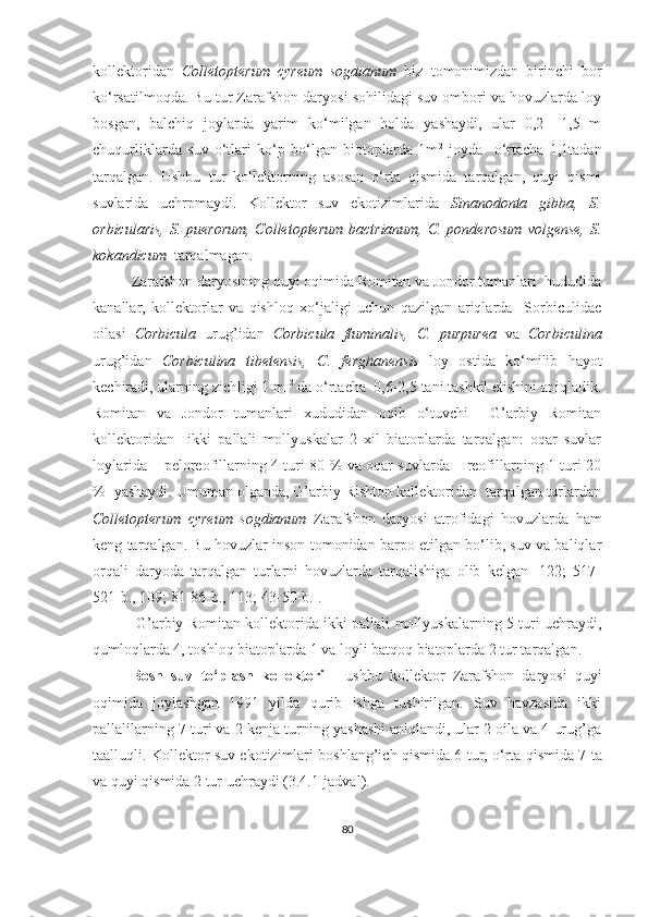 kollektoridan   Colletopterum   cyreum   sogdianum   biz   tomonimizdan   birinchi   bor
ko‘rsatilmoqda. Bu tur Zarafshon daryosi sohilidagi suv ombori va hovuzlarda loy
bosgan,   balchiq   joylarda   yarim   ko‘milgan   holda   yashaydi,   ular   0,2   –1,5   m
chuqurliklarda   suv   o‘tlari   ko‘p   bo‘lgan   biotoplarda   1m 2
  joyda     o‘rtacha   1,1tadan
tarqalgan.   Ushbu   tur   kollektorning   asosan   o‘rta   qismida   tarqalgan,   quyi   qismi
suvlarida   uchrpmaydi.   Kollektor   suv   ekotizimlarida   Sinanodonta   gibba,   S.
orbicularis,  S. puerorum,  Colletopterum  bactrianum,  C. ponderosum  volgense, S.
kokandicum    tarqalmagan.
Zarafshon daryosining quyi oqimida Romitan va Jondor tumanlari  hududida
kanallar,   kollektorlar   va   qishloq   xo‘jaligi   uchun   qazilgan   ariqlarda     Sorbiculidae
oilasi   Corbicula   urug’idan   Corbicula   fluminalis,   C.   purpurea   va   Corbiculina
urug’idan   Corbiculina   tibetensis,   C.   ferghanensis   loy   ostida   ko‘milib   hayot
kechiradi, ularning zichligi 1 m  2
 da o‘rtacha  0,6-2,5 tani tashkil etishini aniqladik.
Romitan   va   Jondor   tumanlari   xududidan   oqib   o‘tuvchi     G’arbiy   Romitan
kollektoridan     ikki   pallali   mollyuskalar   2   xil   biatoplarda   tarqalgan:   oqar   suvlar
loylarida – peloreofillarning 4 turi 80 % va oqar suvlarda – reofillarning 1 turi 20
%  yashaydi. Umuman olganda, G’arbiy Rishton kallektoridan  tarqalgan turlardan
Colletopterum   cyreum   sogdianum   Zarafshon   daryosi   atrofidagi   hovuzlarda   ham
keng tarqalgan. Bu hovuzlar inson tomonidan barpo etilgan bo‘lib, suv va baliqlar
orqali   daryoda   tarqalgan   turlarni   hovuzlarda   tarqalishiga   olib   kelgan   [122;   517-
521-b., 109; 81-86-b., 113; 43-50-b.]. 
  G’arbiy Romitan kollektorida ikki pallali mollyuskalarning 5 turi uchraydi,
qumloqlarda 4, toshloq biatoplarda 1 va loyli batqoq biatoplarda 2 tur tarqalgan.
Bosh   suv   to‘plash   kollektori   -   ushbu   kollektor   Zarafshon   daryosi   quyi
oqimida   joylashgan   1991   yilda   qurib   ishga   tushirilgan.   Suv   havzasida   ikki
pallalilarning 7 turi va 2 kenja turning yashashi aniqlandi, ular 2 oila va 4 urug’ga
taalluqli. Kollektor suv ekotizimlari boshlang’ich qismida 6 tur, o‘rta qismida 7   ta
va quyi qismida 2 tur uchraydi (3.4.1-jadval).
80 