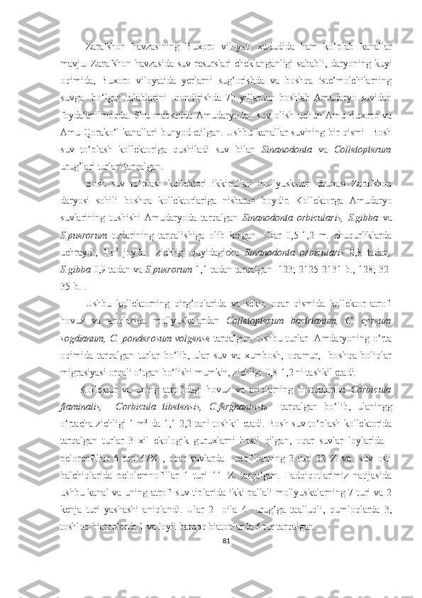 Zarafshon   havzasining   Buxoro   viloyati   xududida   ham   ko‘plab   kanallar
mavju. Zarafshon havzasida  suv resurslari cheklanganligi  sababli, daryoning kuyi
oqimida,   Buxoro   viloyatida   yerlarni   sug’orishda   va   boshqa   iste’molchilarning
suvga     bo‘lgan   talablarini     qondirishda   70   yillardan   boshlab   Amudaryo   suvidan
foydalanilmoqda.   Shu   maqsadda   Amudaryodan   suv   olish   uchun   Amu-Buxoro   va
Amu-Qorako‘l kanallari bunyod etilgan. Ushbu kanallar suvining bir qismi   Bosh
suv   to‘plash   kollektoriga   qushiladi   suv   bilan   Sinanodonta   va   Colletopterum
urug’lari turlari tarqalgan.
Bosh   suv   to‘plash   kollektori   ikkipallali   mollyuskalari   faunasi   Zarafshon
daryosi   sohili   boshqa   kollektorlariga   nisbatan   boydir.   Kollektorga   Amudaryo
suvlarining   tushishi   Amudaryoda   tarqalgan   Sinanodonta   orbicularis,   S.gibba   va
S.puerorum   turlarining   tarqalishiga   olib   kelgan.   Ular   0,5-1,2   m.   chuqurliklarda
uchraydi,   1m 2
  joyda     zichligi   quyidagicha   Sinanodonta   orbicularis   0,8   tadan ,
S.gibba  0,9 tadan va  S.puerorum   1,1 tadan tarqalgan [123; 2125-2131-b., 128; 32-
35-b.].
  Ushbu   kollektorning   qirg’oqlarida   va   sekin   oqar   qismida   kollektor   atrofi
hovuz   va   ariqlarida   mollyuskalardan   Colletopterum   bactrianum,   C.   cyreum
sogdianum,  C.   ponderosum   volgense   tarqalgan.   Ushbu  turlar    Amdaryoning  o‘rta
oqimida   tarqalgan   turlar   bo‘lib,   ular   suv   va   xumbosh,   oqamur,     boshqa   boliqlar
migrasiyasi orqali o‘tgan bo‘lishi mumkin, zichligi 0,8-1,2 ni tashkil etadi.
        Kollektor   va   uning   atrofidagi   hovuz   va   ariqlarning   biotoplarida   Corbicula
flaminalis,     Corbicula   tibetensis,   C.ferghaninsis     tarqalgan   bo‘lib,   ulaningg
o‘rtacha zichligi 1 m 2
  da 1,1-2,2 tani toshkil etadi. Bosh suv to‘plash kollektorida
tarqalgan   turlar   3   xil   ekologik   guruxlarni   hosil   qilgan,   oqar   suvlar   loylarida   -
peloreofillar   6   turi   67%   ,   oqar   suvlarda   -   reofillarning   2   turi   22   %   va     suv   osti
balchiqlarida   pelolemnofillar   1   turi   11   %   tarqalgan.   Tadqiqotlarimiz   natijasida
ushbu kanal va uning atrofi suv tiplarida ikki pallali mollyuskalarning 7 turi va 2
kenja   turi   yashashi   aniqlandi.   Ular   2     oila   4     urug’ga   taalluqli,   qumloqlarda   3,
toshloq biatoplarda 1 va loyli batqoq biatoplarda 6 tur tarqalgan.
81 