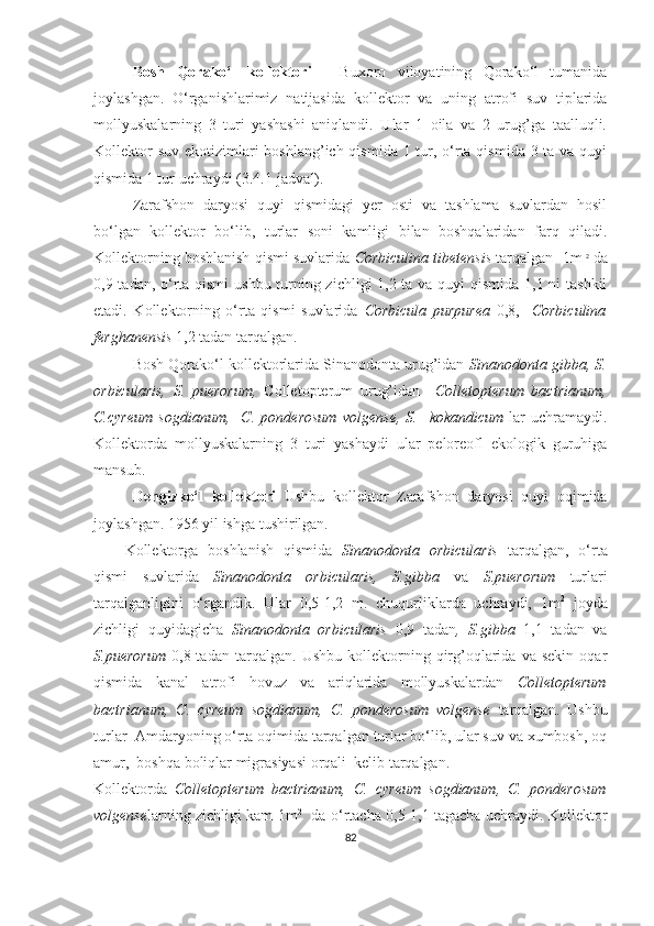 Bosh   Qorako‘l   kollektori   -   Buxoro   viloyatining   Qorako‘l   tumanida
joylashgan.   O‘rganishlarimiz   natijasida   k o llektor   va   uning   atrofi   suv   tiplarida
mollyuskalarning   3   turi   yashashi   aniqlandi.   Ular   1   oila   va   2   urug’ga   taalluqli.
Kollektor  suv ekotizimlari  boshlang’ich qismida 1 tur, o‘rta qismida 3 ta va quyi
qismida 1 tur uchraydi (3.4.1-jadval).
Zarafshon   daryosi   quyi   qismidagi   yer   osti   va   tashlama   suvlardan   hosil
bo‘lgan   kollektor   bo‘lib,   turlar   soni   kamligi   bilan   boshqalaridan   farq   qiladi.
Kollektorning boshlanish qismi suvlarida  Corbiculina tibetensis  tarqalgan    1m   2
  da
0,9 tadan, o‘rta qismi  ushbu turning zichligi  1,2 ta va quyi qismida 1,1 ni tashkil
etadi.   Kollektorning   o‘rta   qismi   suvlarida   Corbicula   purpurea   0,8,     Corbiculina
ferghanensis  1,2 tadan tarqalgan.
Bosh Qorako‘l kollektorlarida Sinanodonta urug’idan  Sinanodonta gibba, S.
orbicularis,   S.   puerorum,   Colletopterum   urug’idan     Colletopterum   bactrianum,
C.cyreum   sogdianum,     C.   ponderosum   volgense,   S.     kokandicum   lar   uchramaydi.
K ollektorda   mollyuskalarning   3   turi   yashaydi   ular   peloreofl   ekologik   guruhiga
mansub.
Dengizko‘l   kollektori   Ushbu   kollektor   Zarafshon   daryosi   quyi   oqimida
joylashgan. 1956 yil ishga tushirilgan.
Kollektorga   boshlanish   qismida   Sinanodonta   orbicularis   tarqalgan,   o‘rta
qismi   suvlarida   Sinanodonta   orbicularis,   S.gibba   va   S.puerorum   turlari
tarqalganligini   o‘rgandik.   Ular   0,5-1,2   m.   chuqurliklarda   uchraydi,   1m 2
  joyda
zichligi   quyidagicha   Sinanodonta   orbicularis   0,9   tadan ,   S.gibba   1,1   tadan   va
S.puerorum   0,8  tadan   tarqalgan.   Ushbu   kollektorning   qirg’oqlarida   va   sekin   oqar
qismida   kanal   atrofi   hovuz   va   ariqlarida   mollyuskalardan   Colletopterum
bactrianum,   C.   cyreum   sogdianum,   C.   ponderosum   volgense   tarqalgan.   Ushbu
turlar  Amdaryoning o‘rta oqimida tarqalgan turlar bo‘lib, ular suv va xumbosh, oq
amur,  boshqa boliqlar migrasiyasi orqali  kelib tarqalgan.
Kollektorda   Colletopterum   bactrianum,   C.   cyreum   sogdianum,   C.   ponderosum
volgense larning zichligi kam 1m 2
   da o‘rtacha 0,5-1,1 tagacha uchraydi. Kollektor
82 