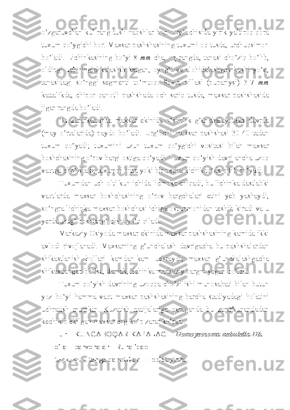 o’zgaruvchan   kul   rang   tusli   naqshlar   bor.   Urg’ochisida   yirik   yaltiroq   qora
tuxum qo’ygichi bor. Maxsar pashshasining tuxumi oq tusda, urchuqsimon
bo’ladi.   Lichinkasining   bo’yi   8   mm   cha,   oq   rangda,   tanasi   cho’ziq   bo’lib,
oldingi   uchi   ingichkalashib   ketgan,   oyog’i   va   alohidalashgan   boshi   yo’q,
tanasidagi   so’nggi   segmenti   to’mtoq.   Soxta   pillasi   (pupariysi)   3-7   mm
kattalikda,   chipor   qanotli   pashshada   och   sariq   tusda,   maxsar   pashshasida
jigar rangda bo’ladi.
Bu   zararkunanda   maxsar   ekinida   o’simlik   g’unchalayotgan   davrda
(may   o’rtalarida)   paydo   bo’ladi.   Urg’ochi   maxsar   pashshasi   30-40   tadan
tuxum   qo’yadi;   tuxumini   uzun   tuxum   qo’ygichi   vositasi   bilan   maxsar
boshchasining o’rov bargi ostiga qo’yadi. Tuxum qo’yish davri ancha uzoq
vaqtga cho’ziladi, tuxumni bitta yoki bir necha kichik to’da  qilib  qo’yadi.
Tuxumdan uch-olti kun ichida lichinka chiqadi, bu lichinka dastlabki
vaqtlarda   maxsar   boshchasining   o’rov   bargchalari   etini   yeb   yashaydi,
so’ngra lichinka maxsar boshchasi ichiga ost tomonidan teshib kiradi va u
yerda urug’ boshlang’ichini yo’q qiladi.
Markaziy Osiyoda maxsar ekinida maxsar pashshasining kamida ikki
avlodi   rivojlanadi.   Maxsarning   g’unchalash   davrigacha   bu   pashshalardan
shikast lanish   hollari   kamdan-kam   uchraydi;   maxsar   g’unchalashgacha
shikastlangan bo’lsa, demak, lichinka markaziy bargni yegan bo’ladi.
Tuxum qo’yish  davrining uzoqqa cho’zilishi munosabati bilan butun
yoz   bo’yi   hamma   vaqt   maxsar   pashshasining   barcha   stadiyadagi   holatini
uchratish   mumkin.   Kuzatish   natijalariga   qaraganda   bu   zararkunandadan
kechikib ekilgan maxsar eng ko’p zarar ko’radi.
Tur  –  KUNGABOQAR KAPALAGI -  Homoyeosoma nebulella Hb.
oila – parvonalar - Ruralidae
turkum –  tanga qanotlilar - Hepidoptera  