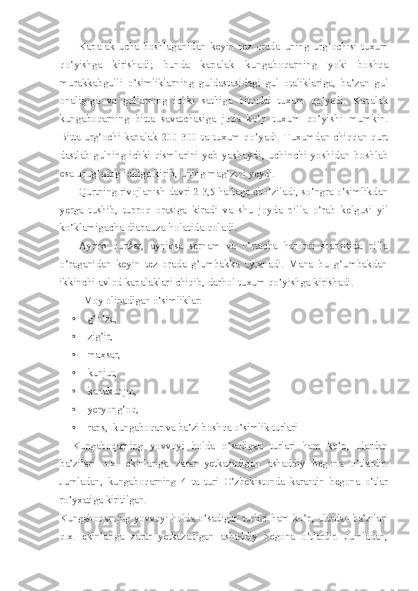 Kapalak   ucha   boshla ganidan   keyin   tez   orada   uning   urg’ochisi   tuxum
qo’ yishga   kirishadi;   bunda   kapalak   kungaboqarning   yoki   boshqa
murakkabgulli   o’simliklarning   guldastasidagi   gul   otaliklariga,   ba’zan   gul
onaligiga   va   gullarning   ichki   sathiga   bittadai   tuxum   qo’yadi.   Ka palak
kungaboqarning   bit ta   savatchasiga   juda   ko’p   tuxum   qo’yishi   mumkin.
Bitta urg’ochi kapalak 200- 300   ta   tuxum   qo’yadi.   Tuxumdan chiqqan qurt
dastlab gulning ichki qism larini   yeb   yashaydi;   uchin chi   yoshidan   boshlab
esa  urug’ning ichiga kirib,  uning mag’zini yeydi.
Q urtning rivojlanish  davri 2-3,5 haftaga cho’ziladi, so’ngra o’simlikdan
ye rga   tushib,   tuproq   orasiga   kiradi   va   shu   joyda   pilla   o’rab   kelgusi   yil
ko’klami gacha diapauza holatida  qoladi.
Ayrim   qurtlar,   ayniqsa   sernam   va   o’rtacha   harorat   sharoitida   pilla
o’ raganidan   keyin   tez   orada   g’umbakka   aylanadi.   Mana   bu   g’umbakdan
ikkinchi  avlod kapalaklari chiqib, darhol tuxum qo’yishga kirishadi. 
         Moy olinadigan o’simliklar :
•   g’o’za, 
•   zig’ir, 
•   maxsar, 
•   kunjut, 
•   kanakunjut, 
•  ye ryong’oq, 
•   raps,    kungaboqar va ba’zi boshqa o’simlik turlari
Kungaboqarning   yovvoyi   holda   o’sadigan   turlari   ham   ko’p,   ulardan
ba’zilari   q.x.   ekinlariga   zarar   yetkazadigan   ashaddiy   begona   o’tlardir.
Jumladan,   kungaboqarning   4   ta   turi   O’zbekistonda   karantin   begona   o’tlar
ro’yxatiga kiritilgan.
Kungaboqarning yovvoyi holda o’sadigan turlari ham ko’p, ulardan ba’zilari
q.x.   ekinlariga   zarar   yetkazadigan   ashaddiy   begona   o’tlardir.   Jumladan, 