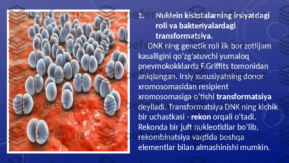 1. Nuklein kislotalarning irsiyatdagi 
roli va b akteriyalardagi 
transformatsiya .    
       DNK ning genetik roli ilk bor zotiljam 
kasalligini qo’zg’atuvchi yumaloq 
pnevmokokklarda F.Griffits tomonidan 
aniqlangan.   Irsiy   xususiyatning donor 
xromosomasidan resipient  
xromosomasiga o‘tishi   transformatsiya 
deyiladi. Transformatsiya DNK ning kichik 
bir   uchastkasi -  rekon  orqali o‘tadi. 
Rekonda bir juft nukleotidlar bo‘lib,  
rekombinatsiya vaqtida boshqa 
elementlar bilan almashinishi mumkin.    