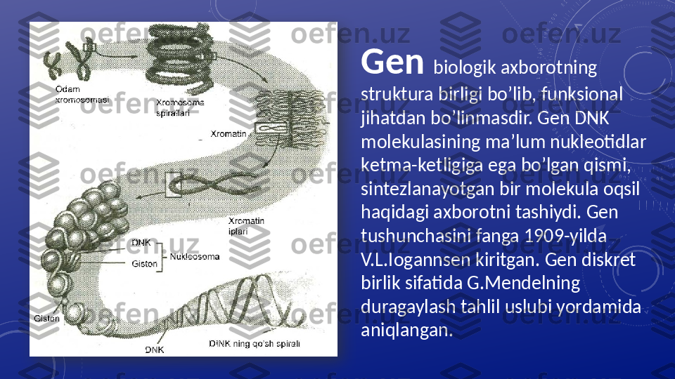 G е n  bi о l о gik a х b о r о tning 
struktura birligi bo’lib, funksional 
jihatdan bo’linmasdir. G е n DNK 
m о l е kulasining ma’lum nukl ео tidlar 
k е tma-k е tligiga ega bo’lgan qismi, 
sint е zlanayotgan bir m о l е kula  о qsil 
haqidagi a х b о r о tni tashiydi. G е n 
tushunchasini fanga 1909-yilda 
V.L.I о g а nns е n kiritgan. G е n diskr е t 
birlik sifatida G.M е nd е lning 
duragaylash tahlil uslubi yordamida 
aniqlangan.   