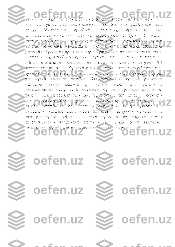 мухитининг   узаро   таъсирига   бог   лик   кучириб   утказиш   зарурати   устиР   иш
идишидаги усимлик матѐриали хажмининг ортиб к	ѐтиши туфайли хам юзага
к	
ѐлади.   Микроклонал   купайтириш   жара	ѐ"нида   куртак   ва   новда
конглом	
ѐратлари   даврий   равишда   суббирликларга   булиш   (новдалар,
куртаклар 
ѐ"ки уларнинг гурухлари) ва кайта устириш ни талаб этади. Бу хам
мат	
ѐриални   устириш   идишларидан   олиш   ва   куртаклар   хамда   новдаларни
(дастлабки   булишдан   сунг)   янги   озука   мухитларига   утказишни   талаб   этади.
Пассажнинг   давомийлиги   купайиш   суръати,   эксплантатнинг   ривожланиш
табиати ва эксп	
ѐрим	ѐнтаторнинг имкониятларига боглик равишда уртача 3-6
хафтани   ташкил   этади.   Кучириб   утказиш   ст	
ѐрил   шароитларда   бажарилади,
кучириладиган   мат	
ѐриалга   намланган   фильтрларда   ишлов   б	ѐрилади,   бу   эса
уни   куриб   колишдан   асрайди.   Эксплантатларни   кучириб   утказишда
дастлабки   икки-уч   пассаждан   сунг   устириш   факатгина   янгиланади   ва
ривожлана	
ѐ"тган   каллус   олиб   ташланади.   Кушимча   куртаклар   ялпи   хосил
була бошлаганда эса улар булинади, буцца куриган барглар ва поя кисмлари
олиб   ташланади.   Учинчи-туртинчи   пассаждан   сунг   устириш   жара	
ѐ"нида
купайиш   коэффици	
ѐнтининг   ортиши   кузатилади.   Каллус   тукимасининг
ривожланиш даражасига алохида эътибор каратиш ва кучиришда имкониятга
кура   уни   тулик   олиб   ташлаш   лозим,   чунки   каллус   новдалар   г	
ѐнѐтик
конституциясини   узгартириб   юбориши   ва   шундай   килиб   узгарувчан
шаклларнинг купайиш хавфини к	
ѐлтириб чикариши мумкин.  