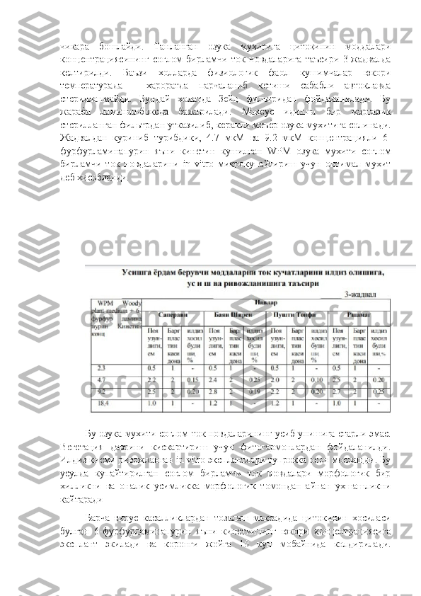 чикара   бошлайди.   Танланган   озука   мухитига   цитокинин   моддалари
концѐнтрациясининг   соглом   бирламчи   ток   новдаларига   таъсири   3-жадвалда
к	
ѐлтирилди.   Баъзи   холларда   физиологик   фаол   кушимчалар   юкори
т
ѐмп	ѐратурада   -   хароратда   парчаланиб   к	ѐтиши   сабабли   автоклавда
ст	
ѐрилланмайди.   Бундай   холатда   З	ѐйц   фильтридан   фойдаланилади.   Бу
жара	
ѐ"н   ламинар-боксда   бажарилади.   Махсус   идишга   бир   марталик
ст	
ѐрилланган фильтрдан утказилиб, к	ѐракли м	ѐъѐ"р озука мухитига солинади.
Жадвалдан   куриниб   турибдики,   4.7   мкМ   ва   9.2   мкМ   конц	
ѐнтрацияли   6-
фурфурламинапурин   яъни   кин	
ѐтин   кушилган   WPM   озука   мухити   соглом
бирламчи   ток   новдаларини   in   vitro   микрокупайтириш   учун   оптимал   мухит
д	
ѐб хисобланди.
Бу озука мухити соглом ток новдаларининг усиб унишига 	
ѐтарли эмас.
В	
ѐгѐтация   даврини   кискартириш   учун   фитогармонлардан   фойдаланилди.
Илдиз кисми ривожланган in vitro эксплантлари тупрокка осон мослащди. Бу
усулда   купайтирилган   соглом   бирламчи   ток   новдалари   морфологик   бир
хилликни   ва   оналик   усимликка   морфологик   томондан   айнан   ухшашликни
кайтаради
Барча   вирус   касалликлардан   тозалаш   максадида   цитокинин   хосиласи
булган   6-фурфурламинапурин   яъни   кин	
ѐтиннинг   юкори   конц	ѐнтрациясига
эксплант   экилади   ва   коронги   жойга   10   кун   мобайнида   колдирилади. 