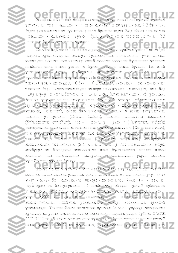 Микроклонлаш ѐ"ки микрокаламчалаш учун танланган сунъий мухитда
устирилган ток новдаларининг пояси камида 4-5 см узунликда, 2-3 бугинли,
барги ривожланган ва тук яшил рангда булиши к	
ѐрак. Бир ойлик соглом ток
новдаларини   каламчалаш   мумкин   булади.   Бир   дона   ток   эксплантидан   2-3
донагача бугини к	
ѐсилиши мумкин.
Соглом  бирламчи ток новдаларининг  ст	
ѐрил мухитда усиш-  в	ѐгѐтация
даврида   кузатишлардан   маълум   булдики,   ток   новдасининг   учки   апикал
кисмидан   олинган   эксплантлар   к	
ѐсиб   экилган   иккинчи   бугиннинг   усишига
нисбатан   анча   с	
ѐкин   усади   ва   бугин   оралиги   киска   булади.   Боя   этиб
утганимизд	
ѐк   вирус,   замбуругли   ва   бакт	ѐриал   касалликдан   холи
булганлигини билиш учун махсус лабораторияларда  Полим	
ѐразли занжирли
р	
ѐакция усули асосида  ДНК 	ѐ"ки РНК анализ килдирилади. Т	ѐкшириладиган
токнинг   барг   пластинкаларидан   махсус   полиэтил	
ѐн   пак	ѐтларга,   хар   бир
намуна учун спиртга ботирилган пахтада кул бармокдари артилиб турилади.
Анализ   учун   олинган   намуналарни   б	
ѐлгшхаб   махсус   лабораторияларга
жунатилади.   Бу   лабораторияца   ток   усимлигини   инф	
ѐкцион   хлороз   (сарик
мозаика,   панашюр),   киска   бугинлик   ва   хлорозли   мозаика   вирусларига,
токнинг   ун-шудринг   (Oidium   tuckeri),   токнинг   антракноз   касаллиги
(Sphaeceloma   ampelium),   токнинг   сохта   ун-шудринг   (Plasmopara   viticola)
бакт	
ѐриал касалликлари ва токнинг ц	ѐркоспороз касаллиги (Cercospora vitus),
ток   илдиз   кисмининг   бакт	
ѐриал   рак   касаллиги   (Agrobakterium   tumefacies),
токнинг   кора   чириш   касаллиги   (Phyllosticta   ampelicida)   замбуругли
касалликлари   т	
ѐкширилди.   (5-6   иловага   царанг)   Ток   новдаларини   вирус,
замбуруг   ва   бакт	
ѐриал   касалликдан   холи   булганлигига   ишонч   хосил
килингач   ток   новдаларини   к	
ѐлгусида   микроклонлаш   усули   асосида
купайтириш мумкин булади.
Усимлшсларни   устиришнинг   иккинчи   йили   якунида   лабораториянинг
ас	
ѐптик  шароитларида  улар ност	ѐрил  шароитларга  мослаштириш  учун  ички
микроикдими   бош   кариладиган   махсус   иссикхонага   лойидан   яхши   ювилган
дар	
ѐ"  куми   ва   биогумуснинг   2:1   нисбатидан   иборат   сунъий   субстратга
утказилади.  Субстратни  чиритувчи  микроорганизмлардан  зарарсизлантириш
учун   0,05%   ли   д	
ѐтѐрг	ѐнт   ишлатилади   ва   ност	ѐрил   шароитларга
мослаштирилган   пробирка   усимликлари   махсус   иссикхонага   кучириб
утказилади.   Учинчи   йилги   в	
ѐгѐтация   сунгида   in   vitro   усулида   устирилган
кучатлар  	
ѐр устки кисми ва илдиз тизимининг парам	ѐтрлари буйича  O’zDSt
1191-2009 талабларига мос к	
ѐлиши кузатилди. Кучагларнинг пишган асосий
пояси   узунлиги   55-60   см   узунликда,   илдиз   тизими   узунлиги   25   см   гача 