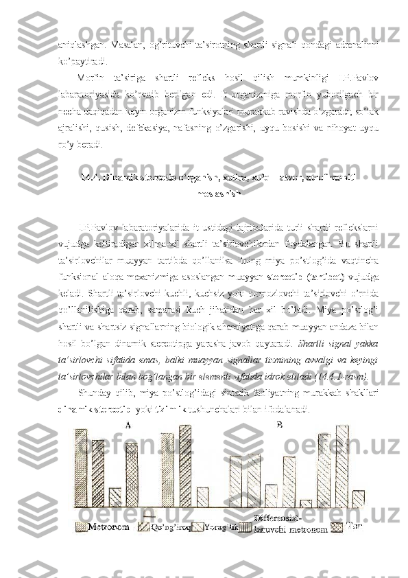 aniqlashgan.   Masalan,   og’rituvchi   ta’sirotning   shartli   signali   qondagi   adrenalinni
ko’paytiradi. 
Morfin   ta’siriga   shartli   refleks   hosil   qilish   mumkinligi   I.P.Pavlov
labaratoriyasida   ko’rsatib   berilgan   edi.   It   organizmiga   morfin   yuborilgach   bir
necha daqiqadan keyin organizm funksiyalari murakkab ravishda o’zgaradi; so’lak
ajralishi,   qusish,   defekasiya,   nafasning   o’zgarishi,   uyqu   bosishi   va   nihoyat   uyqu
ro’y beradi.
14.4. Dinamik stereotip o‘rganish, xotira, xulq – atvor, atrof muhiti
moslashish
I.P.Pavlov   labaratoriyalarida   it   ustidagi   tajribalarida   turli   shartli   reflekslarni
vujudga   keltiradigan   xilma-xil   shartli   ta’sirlovchilardan   foydalangan.   Bu   shartli
ta’sirlovchilar   muayyan   tartibda   qo’llanilsa   itning   miya   po’stlog’ida   vaqtincha
funksional   aloqa   mexanizmiga   asoslangan   muayyan   stereotip   (tartibot)   vujudga
keladi.   Shartli   ta’sirlovchi   kuchli,   kuchsiz   yoki   tormozlovchi   ta’sirlovchi   o’rnida
qo’llanilishiga   qarab,   samarasi   kuch   jihatidan   har   xil   bo’ladi.   Miya   po’stlog’i
shartli va shartsiz signallarning biologik ahamiyatiga qarab muayyan andaza bilan
hosil   bo’lgan   dinamik   stereotipga   yarasha   javob   qaytaradi.   Shartli   signal   yakka
ta’sirlovchi   sifatida   emas,   balki   muayyan   signallar   tizmining   avvalgi   va   keyingi
ta’sirlovchilar bilan bog’langan bir elementi sifatida idrok etiladi (14.4.1-rasm).
Shunday   qilib,   miya   po’stlog’idagi   sintetik   faoliyatning   murakkab   shakllari
dinamik stereotip   yoki  tizimlik  tushunchalari bilan ifodalanadi . 