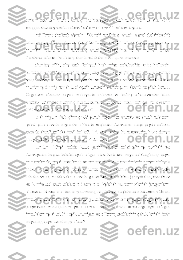 terisini   qashlash   bilanoq   so’lagi   oqa   boshlaydi.   Shartli   ta’sirlovchi   asosida   kelib
chiqqan shunday shartli refleks  ikkilamchi shartli refleks  deyiladi. 
Indifferent   (befarq)   signalni   ikkinchi   tartibdagi   shartli   signal   (ta’sirlovchi)
bilan birga qo’llanib, itda   uchinchi tartibdagi shartli refleksni   vujudga keltirishi
mumkin.   Itda   to’rtinchi   tartibdagi   shartli   refleksni   hosil   qilish   mumkin   emas.
Bolalarda oltinchi tartibdagi shartli reflekslar hosil qilish mumkin.
Shunday   qilib,   oliy   asab   faoliyati   bosh   miya   po’stlog’ida   sodir   bo’luvchi
ko’pddan-ko’p   o’zaro   bog’liq   asab   jarayonlarining   yig’indisidir.     Bu   jarayonlar
yuqori  darajada rivojlangan hayvonlar va odam xulq-atvorining tevarak-atrofidagi
muhitning doimiy ravishda o’zgarib turuvchi  sharoitga moslashib belgilab beradi.
Organizm   o’zining   hayoti   mobaynida   orttirgan   va   befarq   ta’sirlovchilar   bilan
shartsiz   ta’sirlovchilarining   navbatlashishi   natijasida   hosil   bo’lgan   reflekslarni
I.P.Pavlov shartli reflekslar deb ataladi.
Bosh   miya   po’stlog’ining   ikki   guruh   neyronlar:   shartsiz   va   shartli   ta’sirotni
qabul   qilib   oluvchi   neyronlar   o’rtasida   vaqtincha   funksional   aloqa   paydo  bo’lishi
asosida   shartli   refleks   hosil   bo’ladi.   I.P.   Pavlovning   bu   tasavvurini   hozir   dunyo
miqyosida ko’pchilik e’tibor etadi (14.3.1-rasm).
Bundan   oldingi   bobda   katta   yarim   sharlar   po’stlog’ining   tuzilishi   va
funksiyalari haqida batafsil aytib o’tgan edik. Endi esa, miya po’stlog’ining qaysi
mintaqalarida, qaysi qavatlarida va qanday qilib xulq-atvorimizning neyrobiologik
mexanizmlarning   tashkil   topishi   haqida   so’z   yuritamiz.   Ma’lumki,   neokorteks
ichidan va oq moddasidan o’tuvchi gorizontal asab tolalari (proyeksion, assosiativ
va   komissural   asab   tolalar)   polisensor   qo’zg’alish   va   tormozlanish   jarayonlarni
o’tkazadi. Reseptorlardan organizmning turli-tuman nuqtalaridan keluvchi afferent
impulslar talamusning ko’chiruvchi yadrolari orqali bosh miya po’stlog’ining turli
proyeksion   mintaqalariga   yetib   boradi.   Lekin   bu   turli   xarakterga   ega   bo’lgan
impulslarning sifati, biologik ahamiyati va efferent javoblarining shakllanishi bosh
miyaning qaysi tizimlariga o’tadi? 